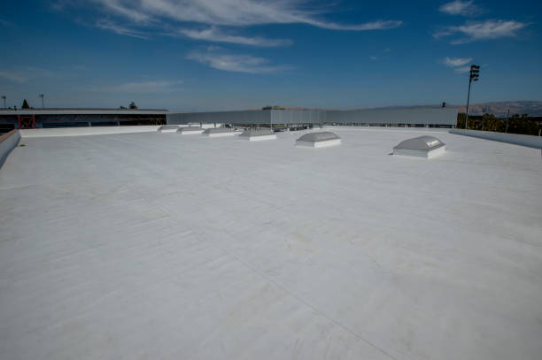 Best Steel Roofing  in Ocean View, DE