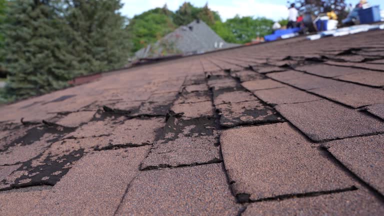 Best Gutter Installation and Repair  in Ocean View, DE