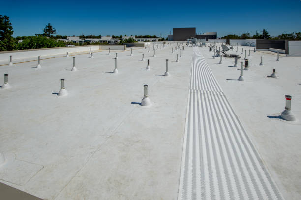 Best Roof Maintenance and Cleaning  in Ocean View, DE